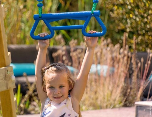 Jungle gym monkey - monkey, bar